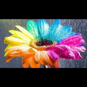 Meet your Posher, Chantry